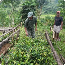 Image by akirkby@wcs.org