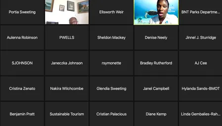 Screen Shot of virtual stakeholder mtg.png