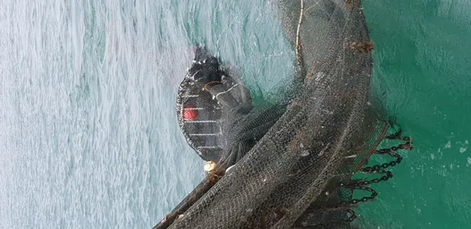 20181116_102942.jpg