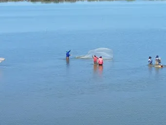 Pescas Lagunas