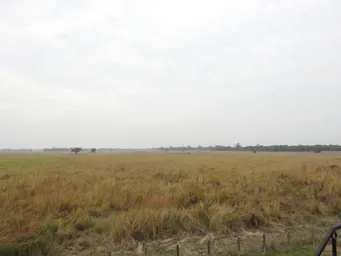 DSCN4289.JPG
