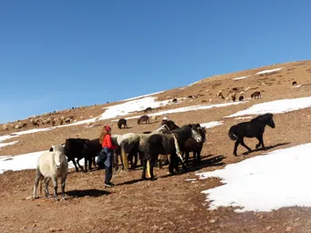 31_03_2016_2_livestock.JPG