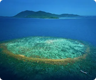 Image by WCS