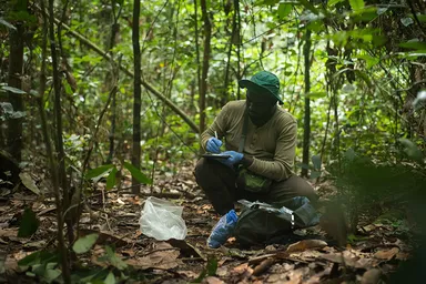WCS team in the field 