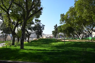 Spencer Gardens 1