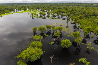 Lower Río Negro