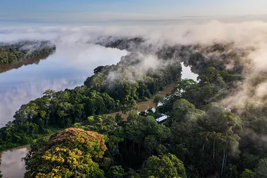 Aerial of Ndoki