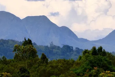 Kahuzi-Biega