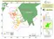 Identificación, restauración y protección de áreas forestales degradadas en 3 comunidades de la zona de amortiguamiento de la RPNSR, fragmento representativo del BAAPA