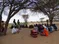 HIrola Conservation Programme