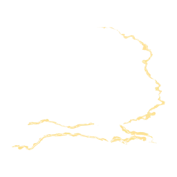 Rijntakken